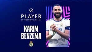 레알 우승 이끈 벤제마, UCL 최우수선수…비니시우스 영플레이어상
