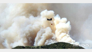 밀양 산불 진화율 60%…“자원봉사자 참여로 힘든 줄 몰라”