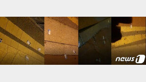 투표 당일 거리에 후보자 명함 대량 살포…경찰 수사