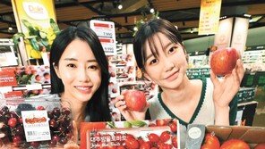 “제철 과일 드시고 힘내세요”