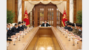 美현충일·南선거일에도 도발 없었던 北… 전원회의 결정 주목