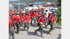 밀양 산불 진화율 73%…바람도 약해 일몰 전까지 주불 진화 ‘총력’