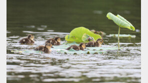 [날씨] 내일, 전국 맑다가 중부지방 구름떼…낮 최고 33도