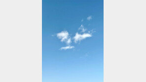 [고양이 눈]‘얼굴 구름’