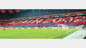 “AGAIN 2002” 카드섹션, 당시 우승 브라질 배려도