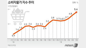 5월 소비자물가, 14년 만에 최고…경유 46%↑·돼지고기 21%↑