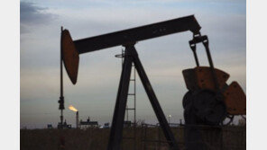 OPEC+ 7~8월 50% 추가 증산 확정…물가상승 진정 효과는 의문