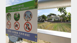 文정부 청와대 출신 의원 ‘인격권 침해 집회·시위 금지’ 개정안 발의