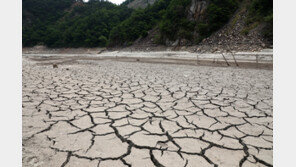 전국 가뭄 피해 확산…정부, 대체수원 개발 등 대책 추진