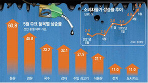 물가 5%선도 뚫렸다… 尹 “경제위기 태풍권” 