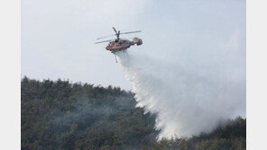 밀양 산불 잡았지만…뒷불 감시 계속