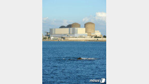 고리2호기 발전 재개 사흘 만에 원자로 정지…차단기 소손