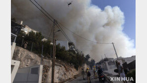 그리스 아테네 남부에 대형산불… 강풍타고 주택가 번져