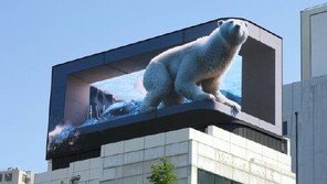 얼음 다 녹았다…서울 도심 속 북극곰 ‘절 지켜주세요’ (영상)