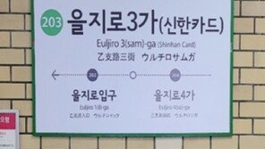 “강남·시청역 이름 팝니다”…서울 지하철 50개 역명 공개입찰