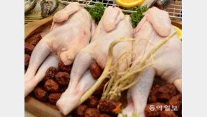 우크라戰 나비효과…치솟는 닭고기값에 전세계 신음