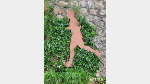 [고양이 눈]‘러닝메이트’