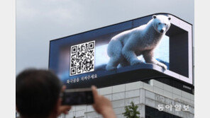 서울시청앞 ‘3D 북극곰’ “환경을 지켜주세요”