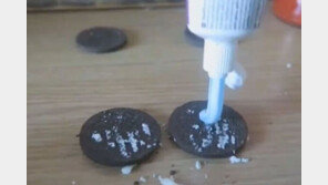 노숙자에 ‘치약 과자+현금’ 주고 토하는 모습 찍은 유튜버 ‘징역형’