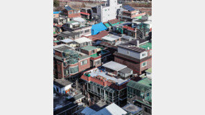 서울 모아주택, 공공기여 없이도 최고 15층 허용