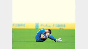 우크라, 울지마