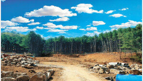 송파 가까운 양평 임야, 3.3㎡당 20만 원부터