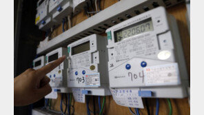 한전 “3분기 전기료 인상해야”… 정부는 高물가 부담에 고심 