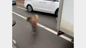 1t트럭에 개 묶고 운전한 60대 “지인에게 데려다주려고”