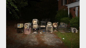 美동물구조단체 대표 집에서 개·고양이 수십마리 숨진 채 발견