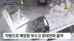 렌터카로 매장 돌진…휴대전화 1000만원어치 쓸어가
