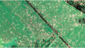 우크라 “러軍, 점령지 주민 600여명 고문… 가족살해 협박도” 