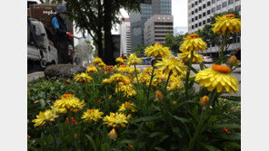 [날씨]대기불안정 곳곳 소나기…밤 9시까지 수도권·강원 최대 20㎜ 내려
