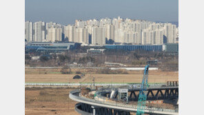 청년층만 바라보는 1인 가구 주택정책 문제 많다
