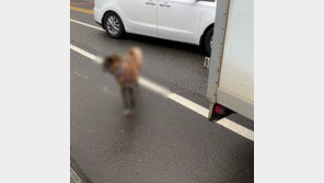 쇠목줄로 개 트럭에 묶고 달린 60대…“주인에 데려다주려고”