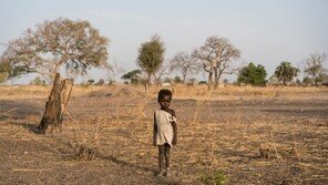 굶주린 아프리카… 아동 아사 급증