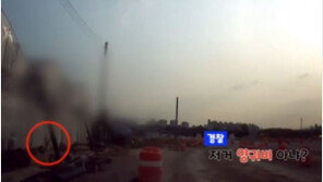 “저거 양귀비 아니야?” 순찰 돌던 경찰관이 발견한 수상한 꽃