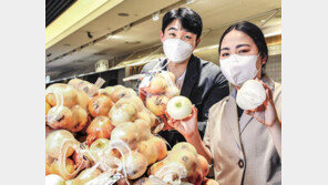 국산 신품종 양파, 덜 맵고 촉촉