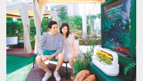 “제주서 반려식물 키워보세요”