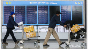 미국 코로나 검사 없이 입국 가능…한국은 언제쯤