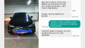 두칸 주차 차주에 이동 부탁 했더니…“오지랖 감사” 조롱 답문