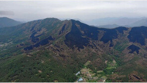 “밀양 산불 때 발생한 대기오염 물질, 부산까지 덮쳤다”