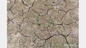 역대급 가뭄 언제까지…기상청 “이번 달 비 잦아져 점차 해소”