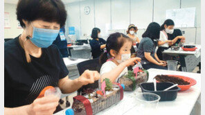 페트병이 다육식물 화분으로 변신