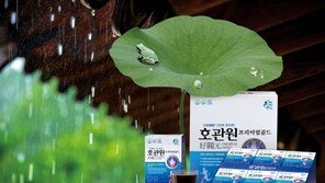 올해는 이른 장마… 관절 건강 미리 챙기세요