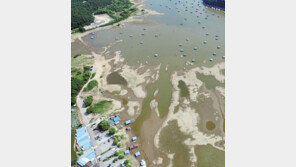 극심한 가뭄 탓에 바닥 드러낸 저수지