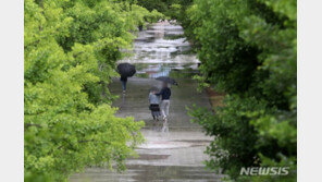 [날씨]전북 흐리고 가끔 비…낮 19~21도