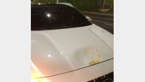 주행 중 車에 음식 쓰레기가 뚝…“청국장 냄새 진동”