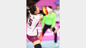 국가대표 리베로 노란, 아킬레스건 파열…브라질 현지서 수술