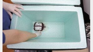 환자가 직접 피 구하는 ‘각자도생 구혈’ 3년 새 7배로