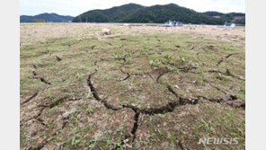 단비 뿌렸지만 해갈엔 역부족…가뭄, 7월까지 이어진다